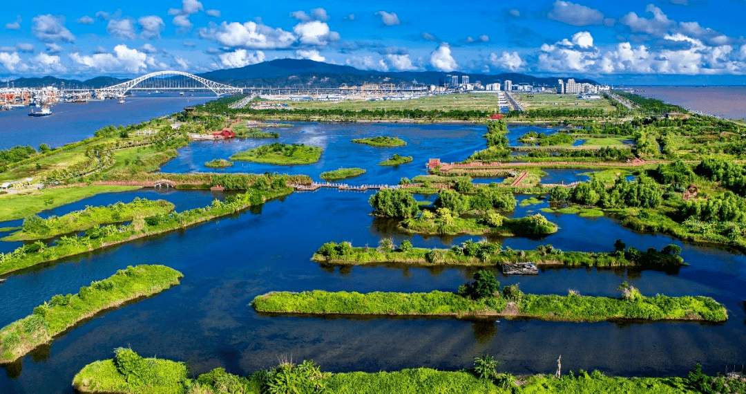 横琴滨海湿地公园图片图片